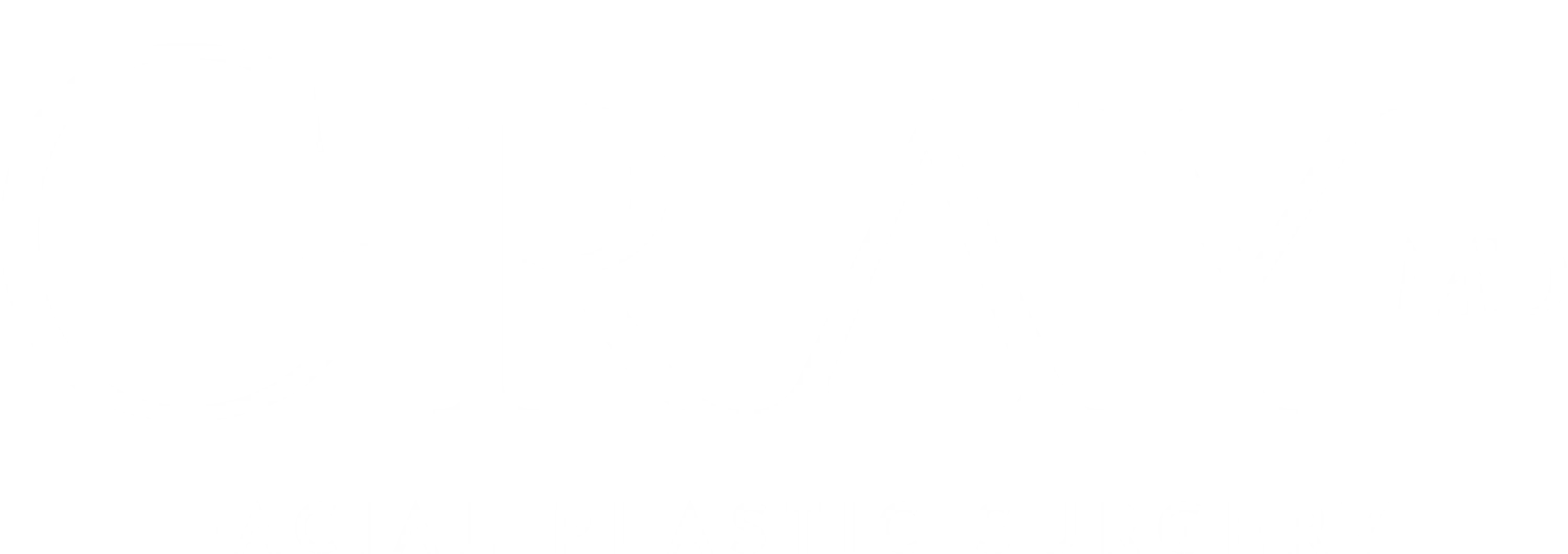 Gray plastic surgery